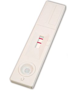 Rapid Pregnancy Test Device