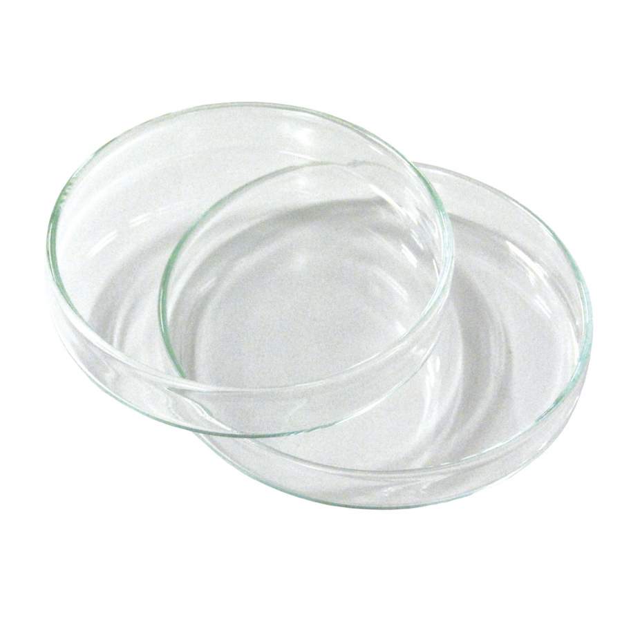 glass petri dish 